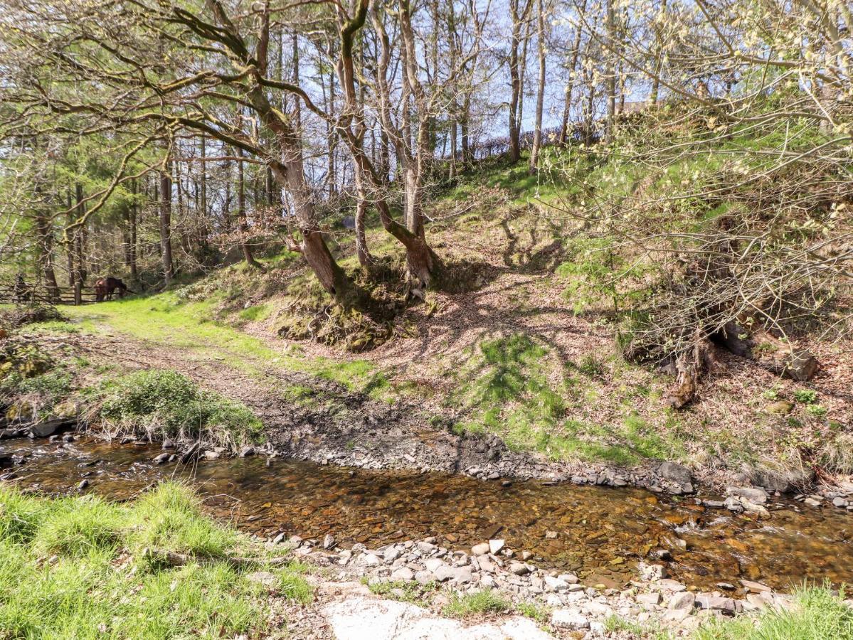 Nant Y Celyn Vila Ruthin Exterior foto